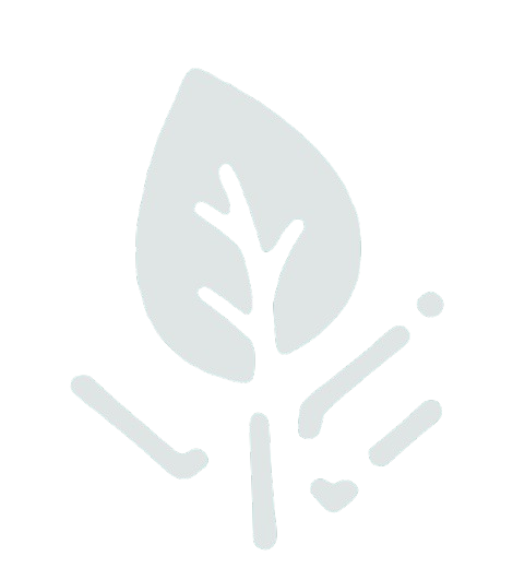 logo E-DescarteCerto